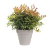 ELHO Pot de fleurs Rond Loft Urban - Ø 38,5 x H 35,3cm - Gris anthrac