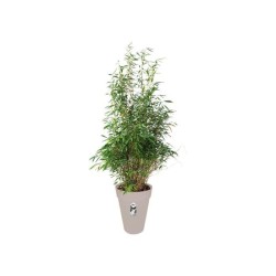ELHO Pot de fleurs rond Loft Urban Haut 42 - Gris - Ø 42 x H 56 cm -
