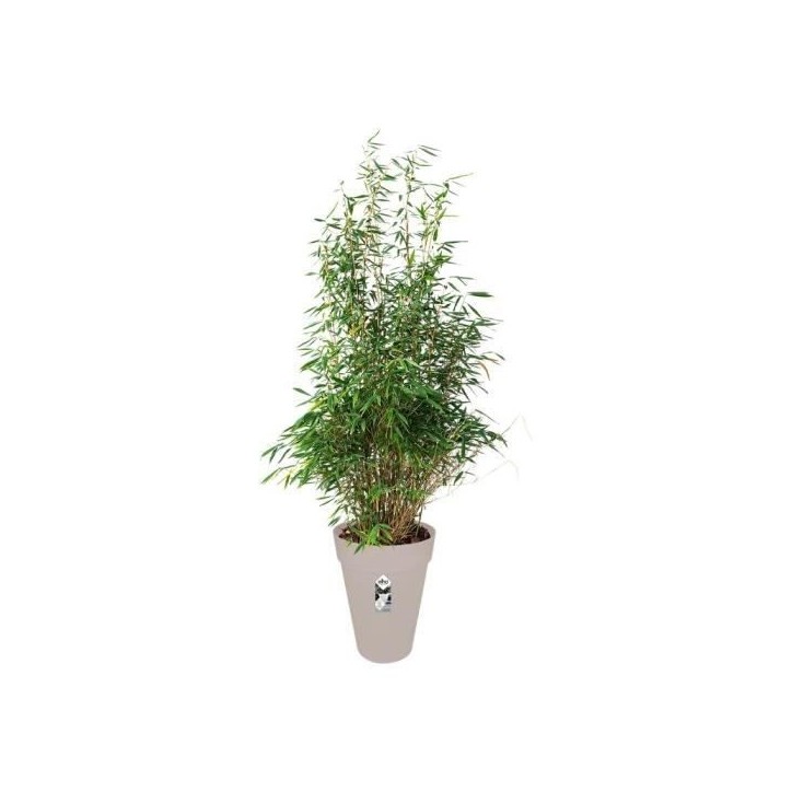 ELHO Pot de fleurs rond Loft Urban Haut 42 - Gris - Ø 42 x H 56 cm - Extérieur