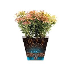 ELHO Pot de fleurs rond Loft Urban Haut 42 - Gris - Ø 42 x H 56 cm -