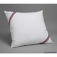 Pack 2 Oreillers DODO - Tendance - 60 x 60 cm + 2 Protege Oreillers Im