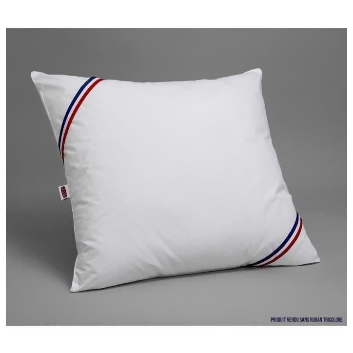 Pack 2 Oreillers DODO - Tendance - 60 x 60 cm + 2 Protege Oreillers Imperméable 60 x 60 cm - Blanc Pack 2 Oreillers DODO - Tendance - 60 x 60 cm + 2 Protege Oreillers Imperméable 60 x 60 cm - Blanc