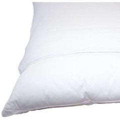 Pack 2 Oreillers DODO - Tendance - 60 x 60 cm + 2 Protege Oreillers Im