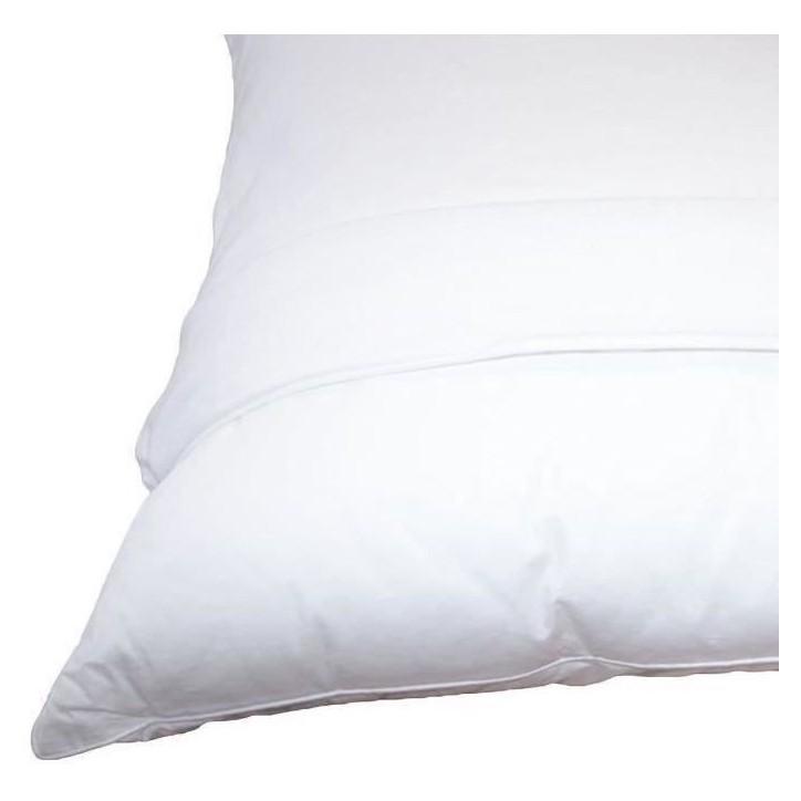 Pack 2 Oreillers DODO - Tendance - 60 x 60 cm + 2 Protege Oreillers Imperméable 60 x 60 cm - Blanc Pack 2 Oreillers DODO - Tendance - 60 x 60 cm + 2 Protege Oreillers Imperméable 60 x 60 cm - Blanc