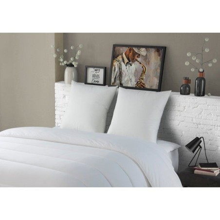 Lot de 2 Oreillers Médium - DODO - L'AUTHENTIQUE - 60 x 60 cm - Blanc