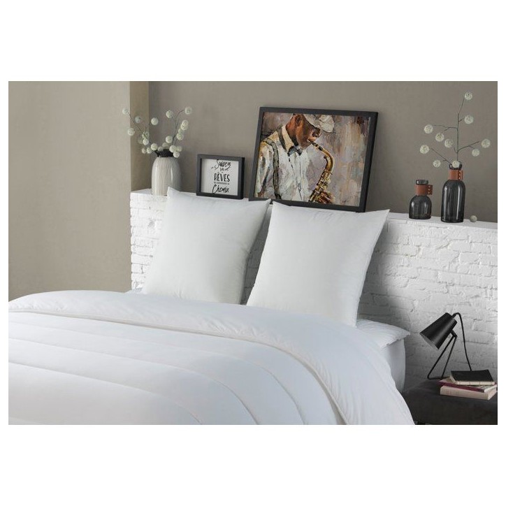 Lot de 2 Oreillers Médium - DODO - L'AUTHENTIQUE - 60 x 60 cm - Blanc Lot de 2 Oreillers Médium - DODO - L'AUTHENTIQUE - 60 x 60 cm - Blanc