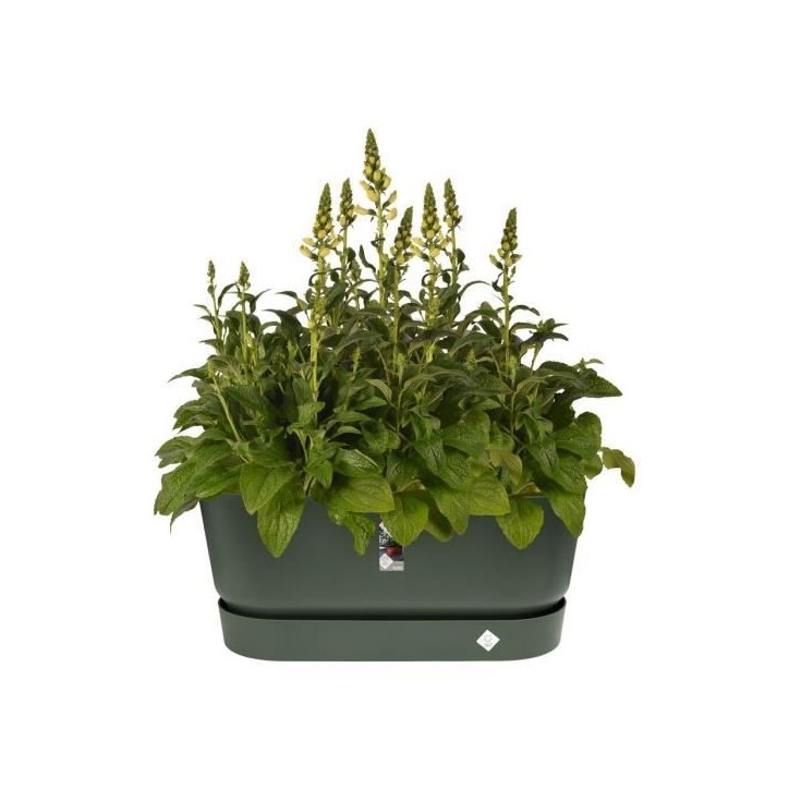 ELHO Jardiniere avec roues Greenville Terrasse 80 - L 35 x W 78 x H 33.5 cm- Leaf green ELHO Jardiniere avec roues Greenville Terrasse 80 - L 35 x W 78 x H 33.5 cm- Leaf green