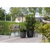 CAPI EUROPE Pot de fleurs boule SMOOTH NL - 35x34 cm - Noir