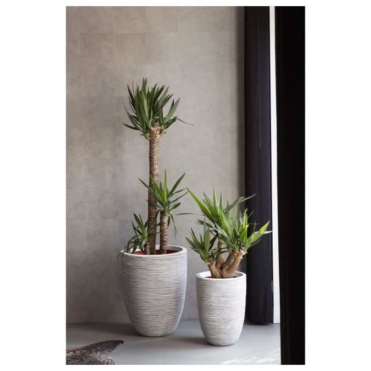 CAPI EUROPE Pot de fleurs élégant bas RIB NL - 46x58 cm - Ivoire CAPI EUROPE Pot de fleurs élégant bas RIB NL - 46x58 cm - Ivoire