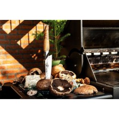 Couteau du chef - FORGED - KATAI - Acier VG10 - Manche en bois de raci