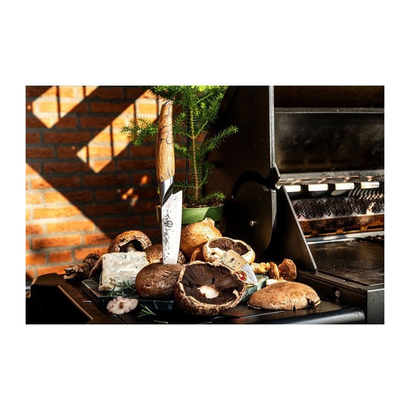 Couteau du chef - FORGED - KATAI - Acier VG10 - Manche en bois de raci
