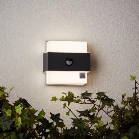 Applique murale extérieure - BRILLIANT - ARCHIE - + détecteur - Métal et plastique - Anthracite - LED intégrée - 7,5 W IP44