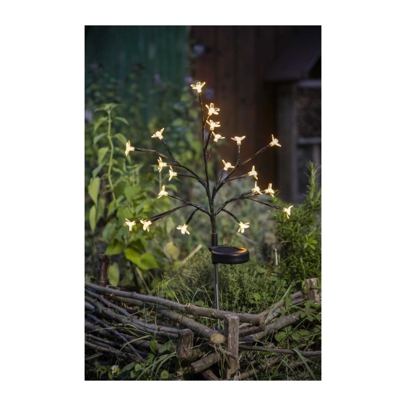 Arbuste a fleurs solaire - GALIX - G4505 - H72