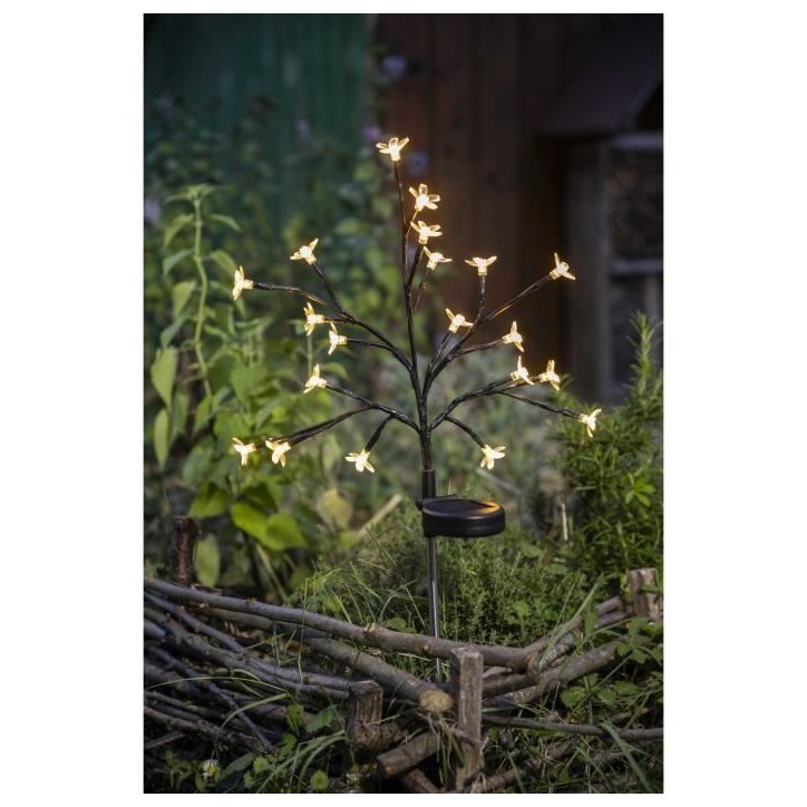 Arbuste a fleurs solaire - GALIX - G4505 - H72