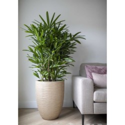 CAPI EUROPE Vase élégant bas WASTE RIB NL - 46x58 cm - Terrazzo beig