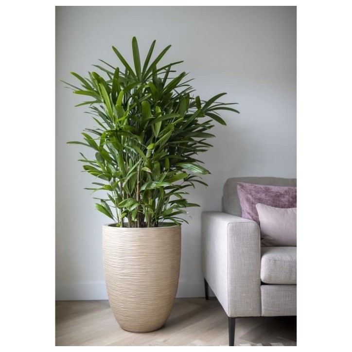 CAPI EUROPE Vase élégant bas WASTE RIB NL - 46x58 cm - Terrazzo beige CAPI EUROPE Vase élégant bas WASTE RIB NL - 46x58 cm - Terrazzo beige