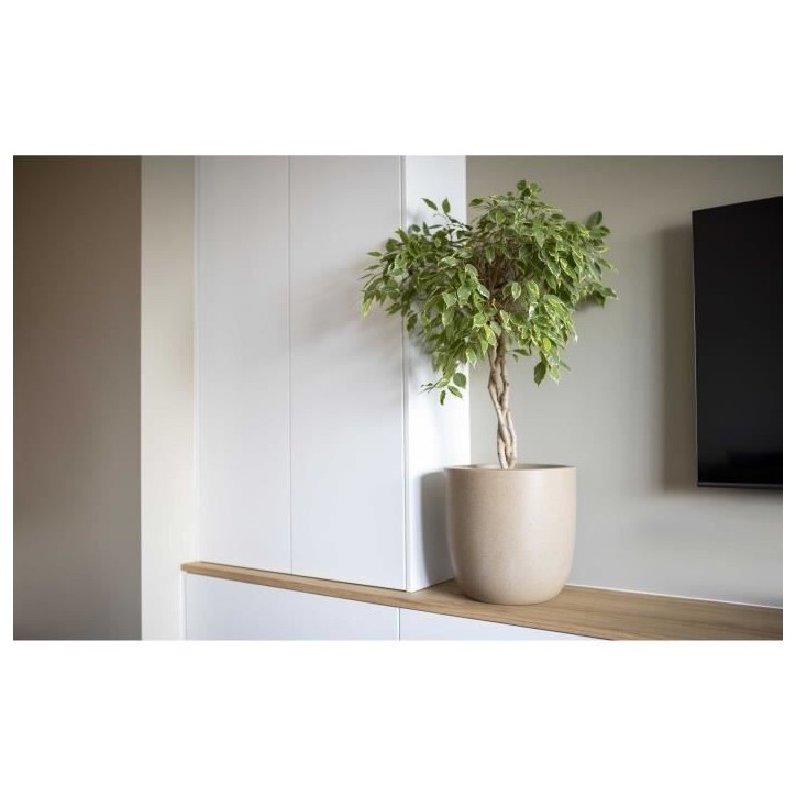 CAPI EUROPE Pot de fleurs WASTE SMOOTH NL - 35x34 cm - Terrazzo beige - Écologique
