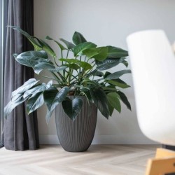 CAPI EUROPE - Vase élégant GROOVE - 46x58 cm - Anthracite - 100% rec