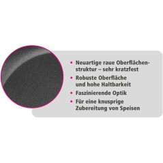 Poele-Sauteuse - Tous feux dont induction - GSW - TITANIUM GRANIT Adva