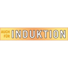 Tajine - GSW - 717434 - Ø30 cm - Fonte d'acier massive - Induction -