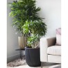 CAPI EUROPE Jardiniere GROVVE - 43x41 cm - Noir et doré - Plastique t