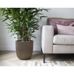 CAPI EUROPE Jardiniere GROVVE - 43x41 cm - Noir et doré - Plastique t
