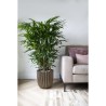 CAPI EUROPE Jardiniere GROVVE - 43x41 cm - Noir et doré - Plastique t