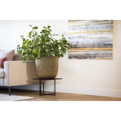 CAPI EUROPE Jardiniere GROVVE - 43x41 cm - Noir et doré - Plastique t