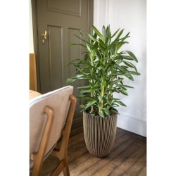 CAPI EUROPE Vase élégant GROOVE - 34x46 cm - Noir et doré - Résist