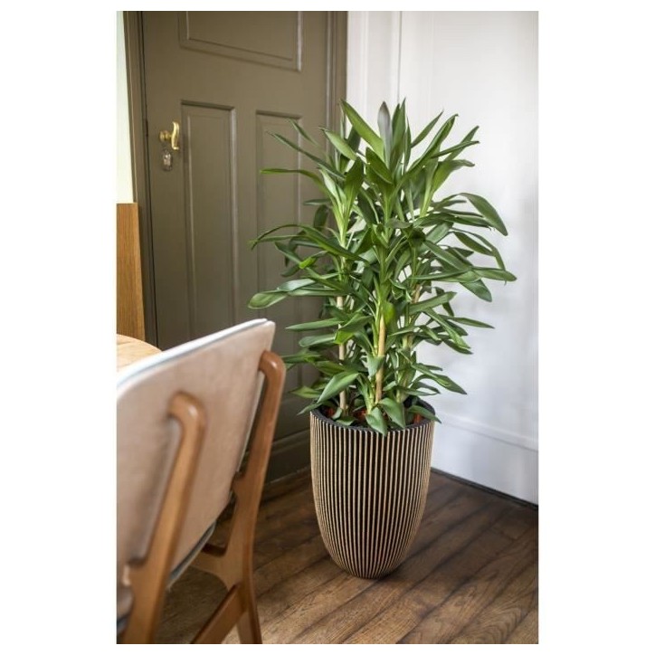 CAPI EUROPE Vase élégant GROOVE - 34x46 cm - Noir et doré - Résistant aux intempéries