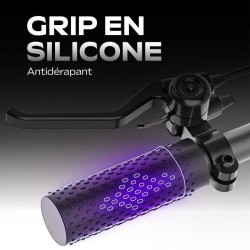 Trottinette électrique EZWAY - EX85 - 450 W - Roues 8,5 - Autonomie 2