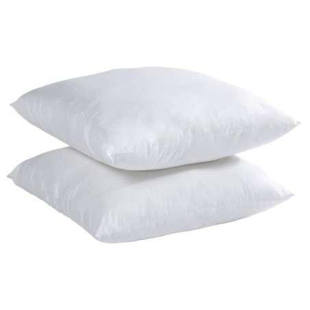 Lot de 2 Oreillers Microfibre - BLANREVE - Anti-Acariens - 60 x 60 cm - Blanc