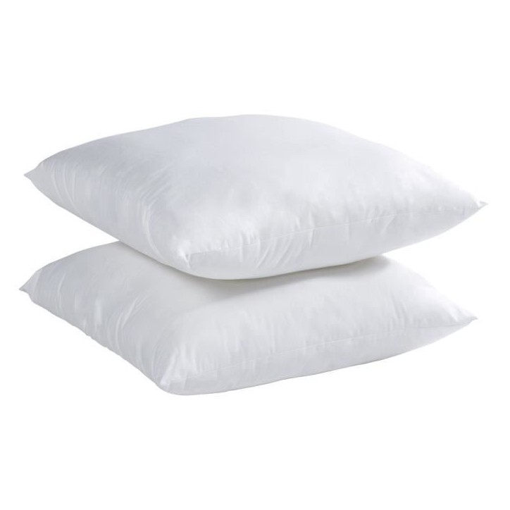 Lot de 2 Oreillers Microfibre - BLANREVE - Anti-Acariens - 60 x 60 cm - Blanc Lot de 2 Oreillers Microfibre - BLANREVE - Anti-Acariens - 60 x 60 cm - Blanc