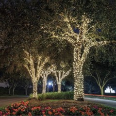 Guirlande lumineuse solaire Yogy Solar - LUMI JARDIN - 200 LED - 1700