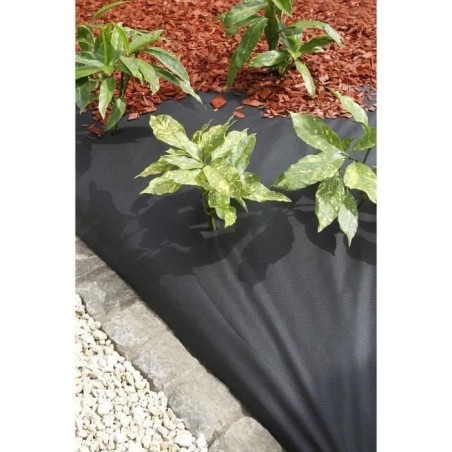 Nappe de paillage - noir 50 gr/m² - 1x10 m