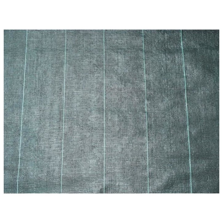 Toile de paillage paysages noire 4,20 x 5 m, traité anti UV, 100 g/m² - Bâche de sol anti mauvaises herbes