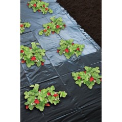 Film paillage fraises -NATURE - 1,4 x 5 m - Ep. 50µ - Noir micro-perf