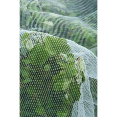 Filet protection contre ver de pomme/poire et grele - NATURE - 5,2 x 5