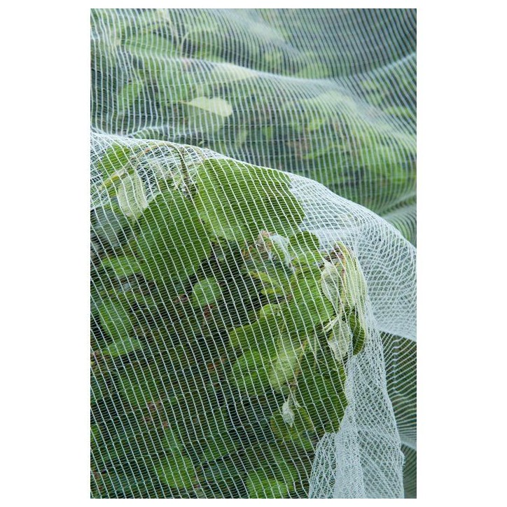 Filet protection contre ver de pomme/poire et grele - NATURE - 5,2 x 5m - 3 x 6mm