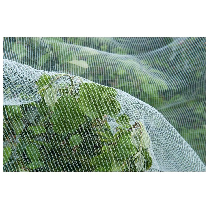 Filet protection contre ver de pomme/poire et grele - NATURE - 5,2 x 5m - 3 x 6mm