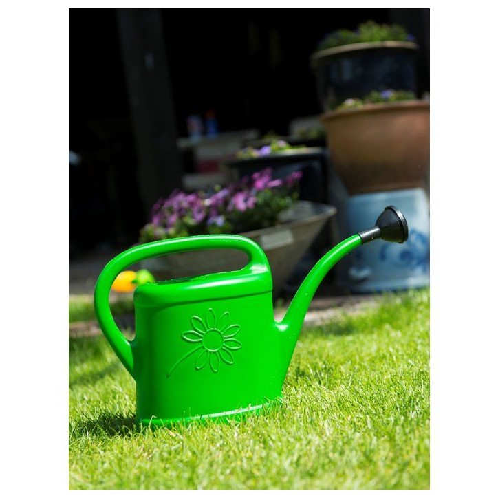 Arrosoir - NATURE - 3 L - Pomme d'arrosage - Vert