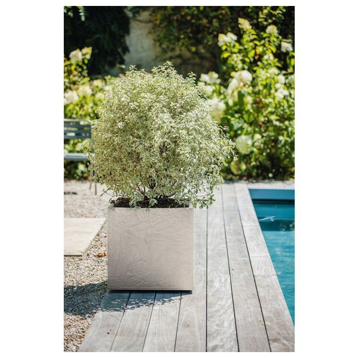 Pot de fleurs Carré 50 cm - EDA - Volcania - 57 L - Intérieur/Extérieur - Décor Pierre - 49,5 x 49,5 x H. 49,5 cm - Beige Ca Pot de fleurs Carré 50 cm - EDA - Volcania - 57 L - Intérieur/Extérieur - Décor Pierre - 49,5 x 49,5 x H. 49,5 cm - Beige Ca