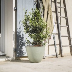 Pot de fleurs Rond Ø 50 cm - EDA - Element - 47,8 L - Systeme de drai