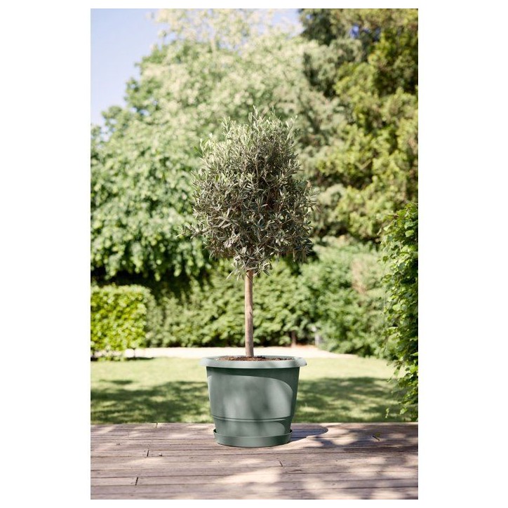Pot de fleur rond - ELHO - Amiga Rond 55 - 55 L - Ø 55 x H 51 cm - Vert - Extérieur Pot de fleur rond - ELHO - Amiga Rond 55 - 55 L - Ø 55 x H 51 cm - Vert - Extérieur