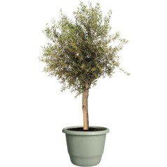 Pot de fleur rond - ELHO - Amiga Rond 55 - 55 L - Ø 55 x H 51 cm - Ve