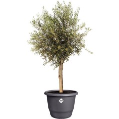 Pot de fleur rond - ELHO - Amiga Rond 55 - 55 L - Ø 55 x H 51 cm - No