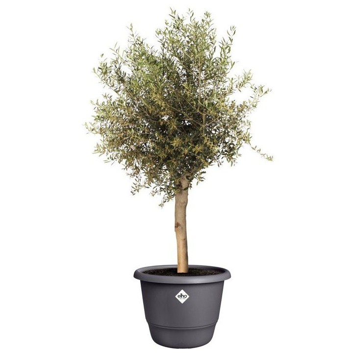 Pot de fleur rond - ELHO - Amiga Rond 55 - 55 L - Ø 55 x H 51 cm - Noir - Extérieur Pot de fleur rond - ELHO - Amiga Rond 55 - 55 L - Ø 55 x H 51 cm - Noir - Extérieur