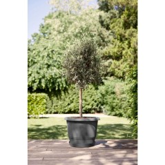 Pot de fleur rond - ELHO - Amiga Rond 55 - 55 L - Ø 55 x H 51 cm - No