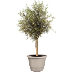Pot de fleur rond - ELHO - Amiga Rond 55 - 55 L - Ø 55 x H 51 cm - Be