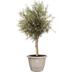 Pot de fleur rond - ELHO - Amiga Rond 55 - 55 L - Ø 55 x H 51 cm - Be